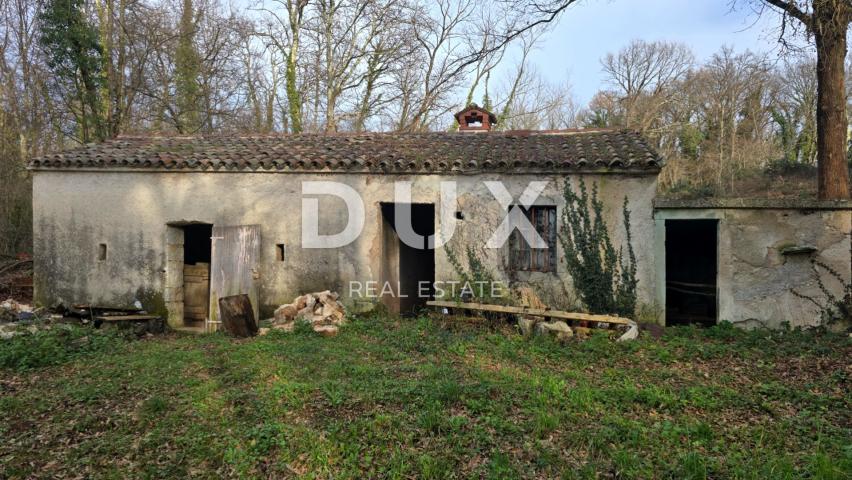 ISTRA, LABIN - Imanje s dvije samostojeće kamene kuće