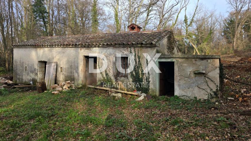 ISTRA, LABIN - Samostojeća kamena kuća s prostranom okućnicom