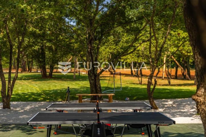 Istra, Labin, vrhunska moderna villa D, grijani bazen 48 m², 2365 m² uređene okućnice
