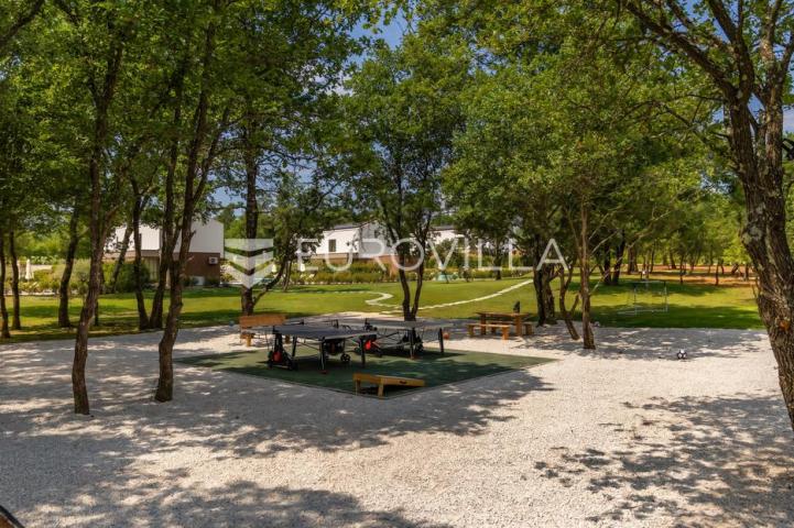 Istra, Labin, vrhunska moderna villa C, grijani bazen 48 m², 2386 m² uređene okućnice