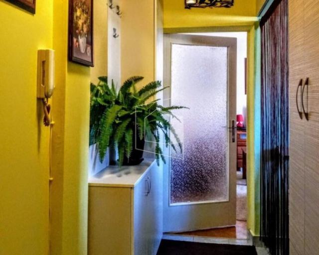 Namještena garsonjera, 30m2, Gintaš, Podgorica