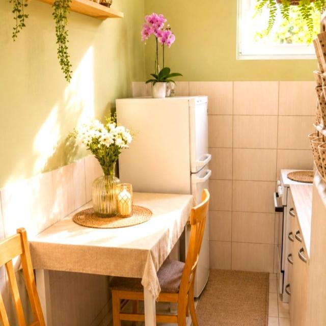 Namještena garsonjera, 30m2, Gintaš, Podgorica
