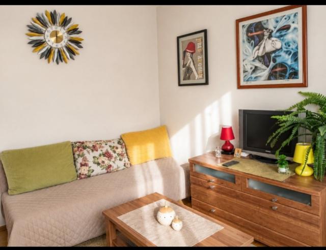Namještena garsonjera, 30m2, Gintaš, Podgorica