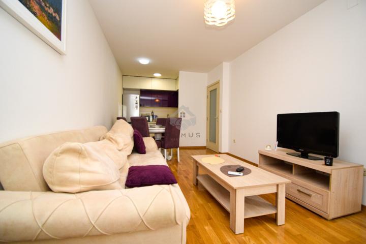 Jednosoban namješten stan 45m2, Zagorič - Podgorica