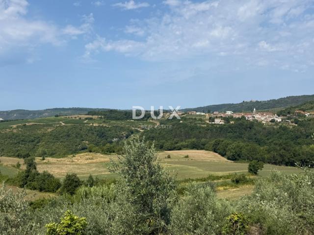 ISTRA, GROŽNJAN - Građevinsko zemljište s predivnim pogledom i maslinama