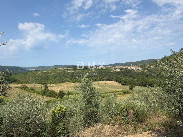 ISTRA, GROŽNJAN - Građevinsko zemljište s predivnim pogledom i maslinama