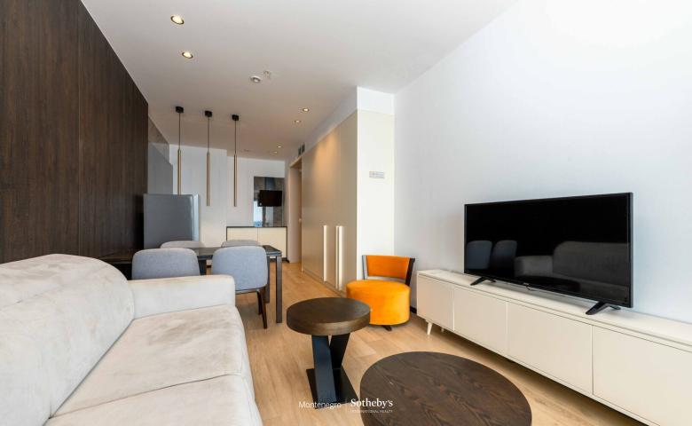 Furnished One Bedroom Apartment