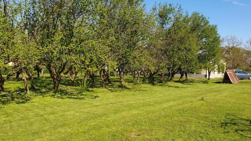 Prodaja- nova kuca 132m2 sa imanjem 3.405m2, Curilac, Danilovgrad