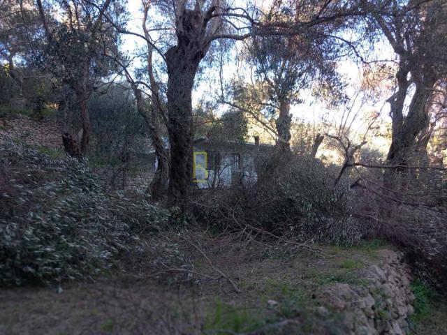 Prodaja, Plac, 0m2 , Ulcinj