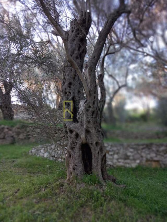 Prodaja, Plac, 0m2 , Ulcinj