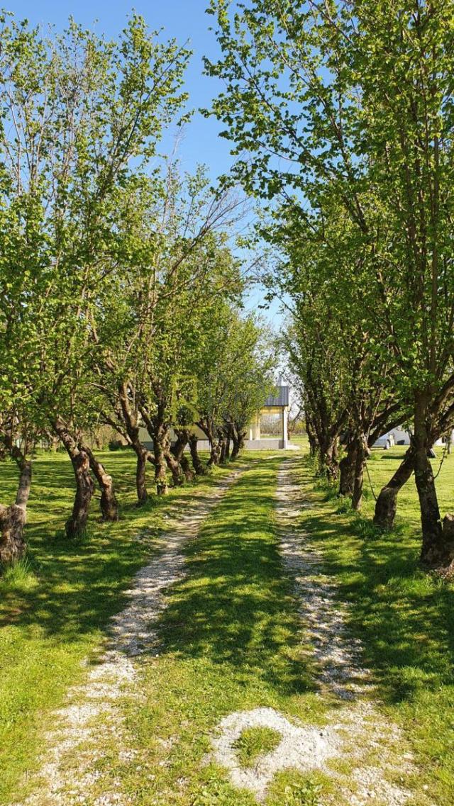 Prodaja- nova kuca 132m2 sa imanjem 3.405m2, Curilac, Danilovgrad
