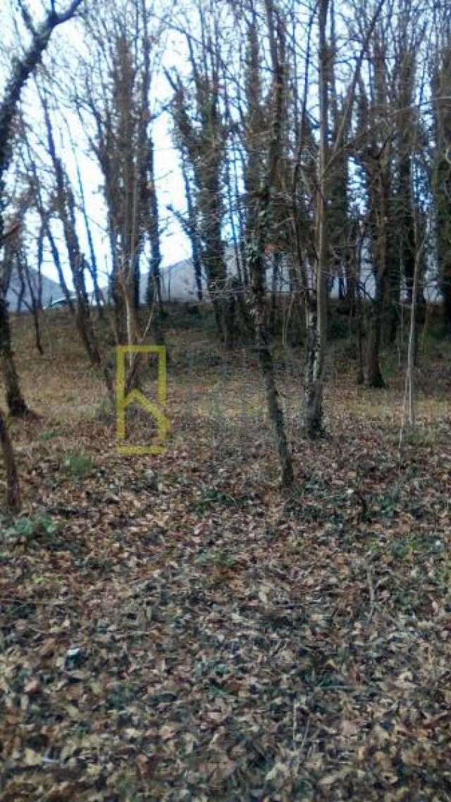 PRODAJA – PLAC U DANILOVGRADU, NASELJE “GLAVICA”