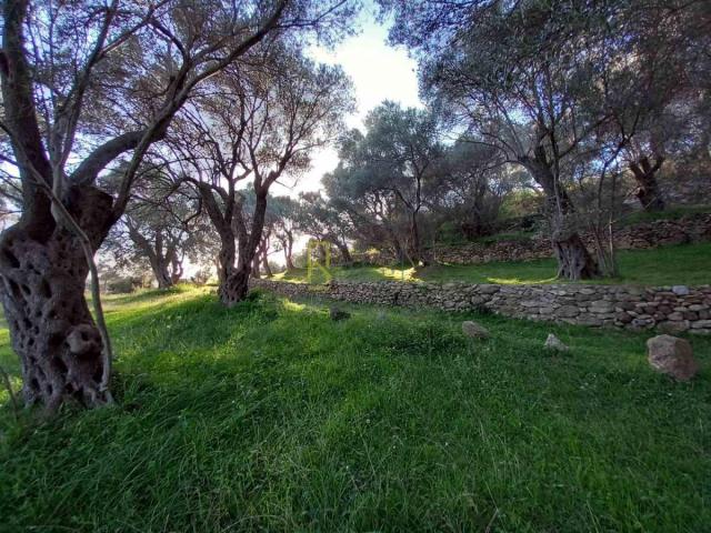 Prodaja, Plac, 0m2 , Ulcinj