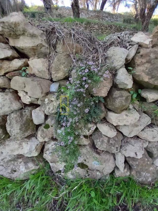 Prodaja, Plac, 0m2 , Ulcinj