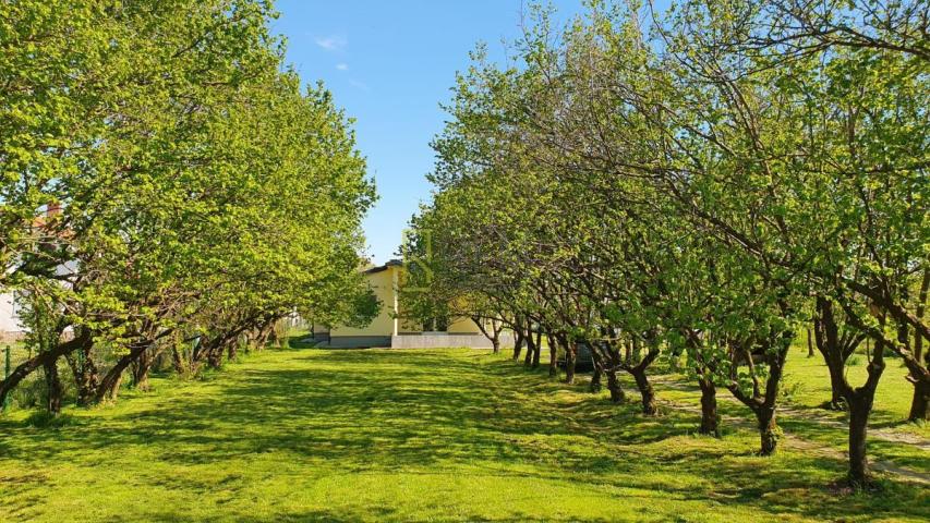 Prodaja- nova kuca 132m2 sa imanjem 3.405m2, Curilac, Danilovgrad