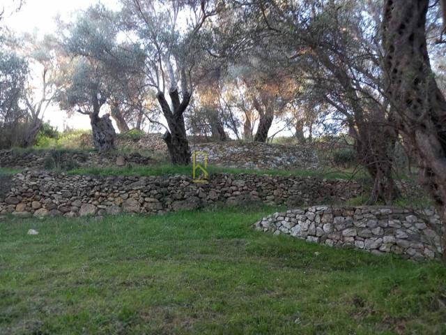 Prodaja, Plac, 0m2 , Ulcinj