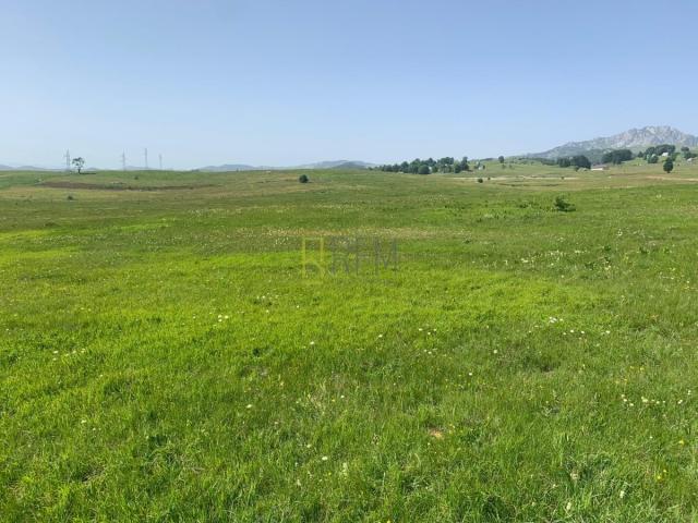 Prodaja – Zemljiste Pasina Voda, Zabljak