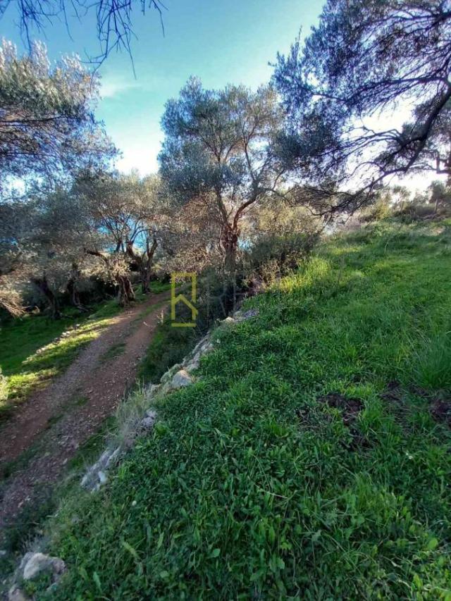 Prodaja, Plac, 0m2 , Ulcinj