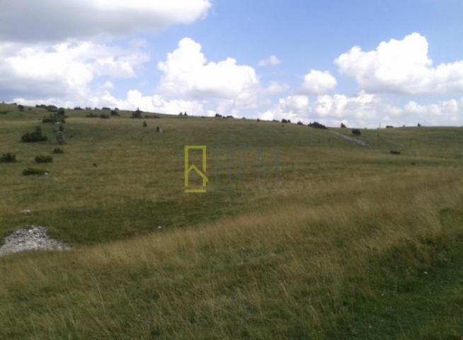 Prodaja- zemljiste na Zabljaku