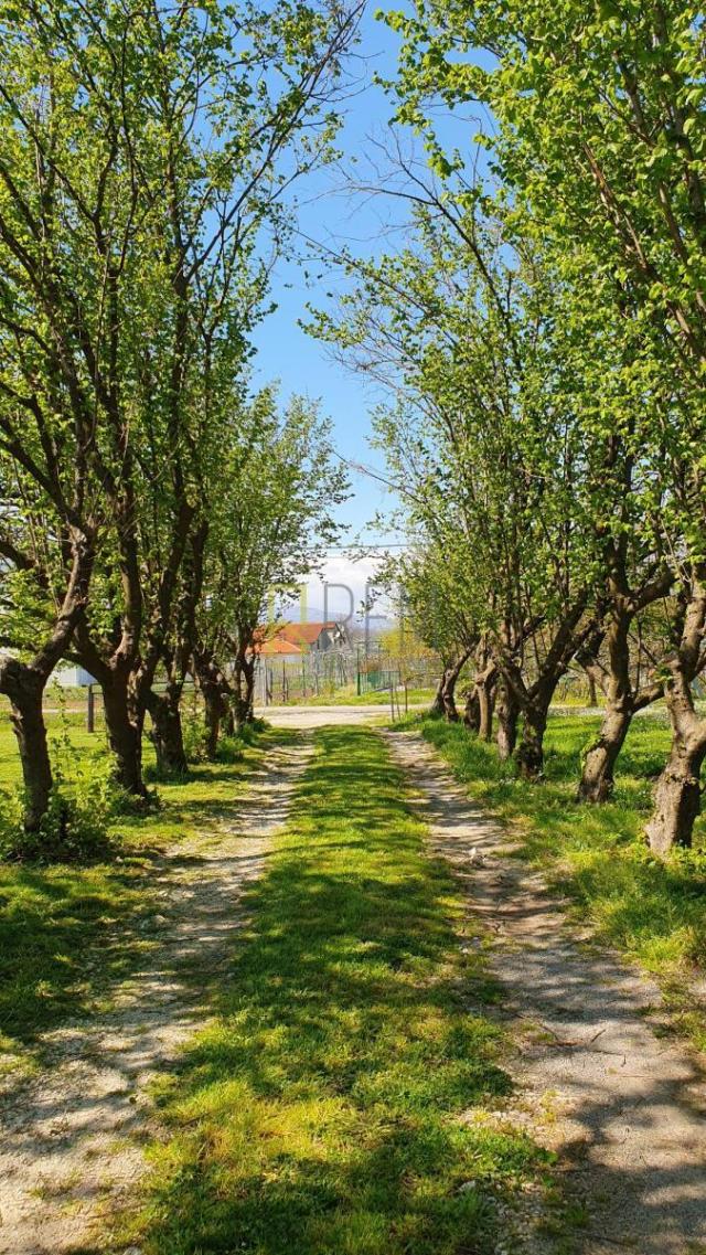 Prodaja- nova kuca 132m2 sa imanjem 3.405m2, Curilac, Danilovgrad