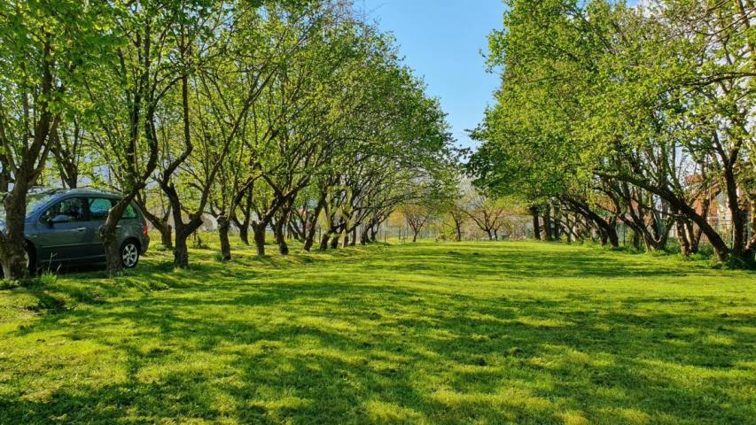 Prodaja- nova kuca 132m2 sa imanjem 3.405m2, Curilac, Danilovgrad