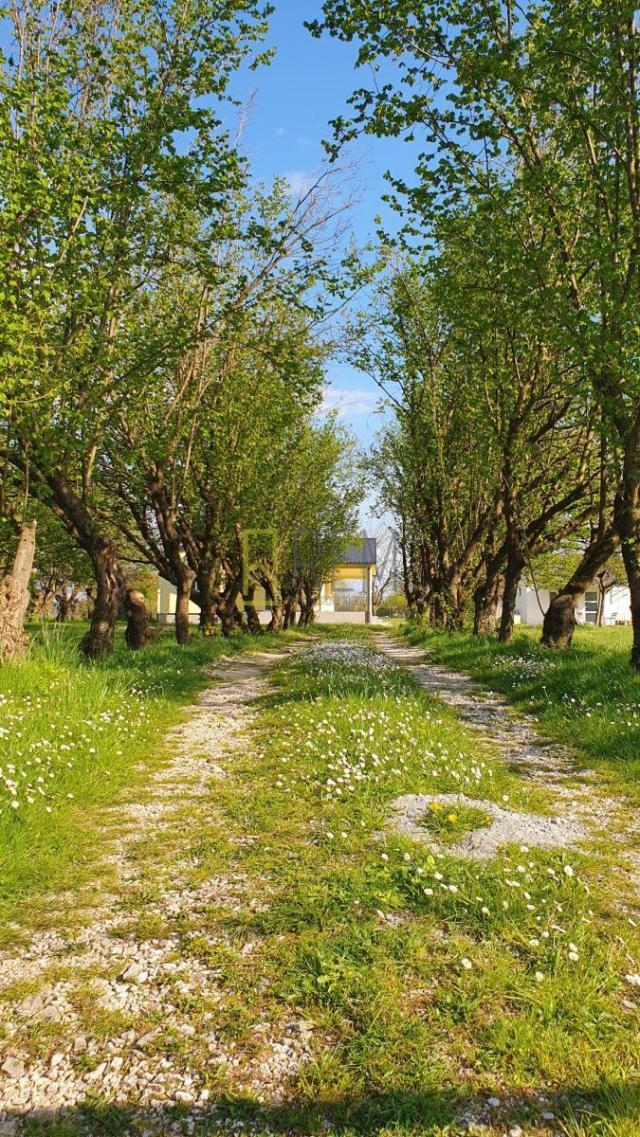 Prodaja- nova kuca 132m2 sa imanjem 3.405m2, Curilac, Danilovgrad