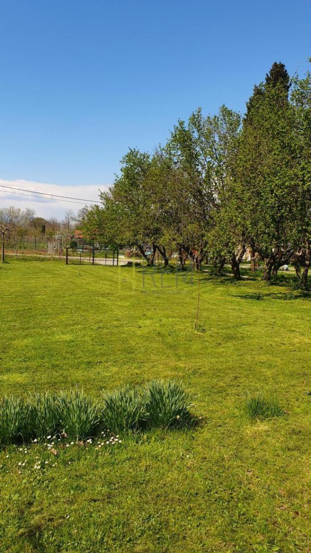 Prodaja- nova kuca 132m2 sa imanjem 3.405m2, Curilac, Danilovgrad