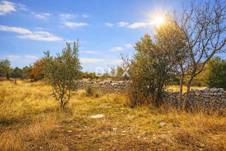 ISTRA, VODNJAN – Poljoprivredno zemljište