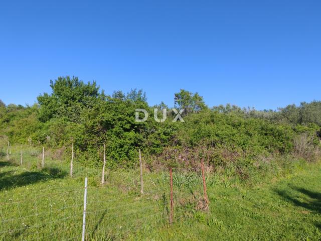 ZADAR, MURVICA - Poljoprivredno zemljište na mirnoj lokaciji 961 m2