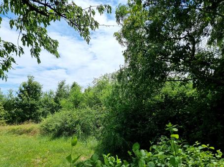 ISTRIEN, LABIN - Bauland in einer ruhigen Siedlung