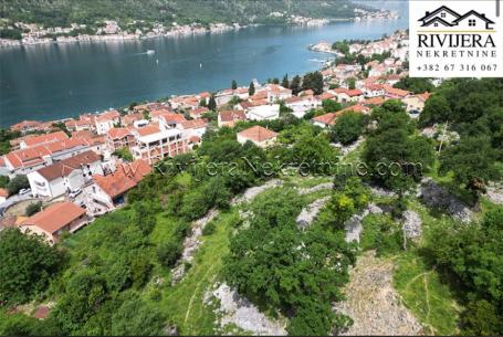 Urbanized land in Dobrota Kotor