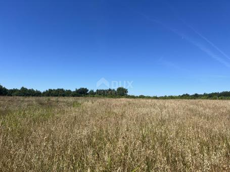 ISTRIA, BADERNA - Spacious agricultural land