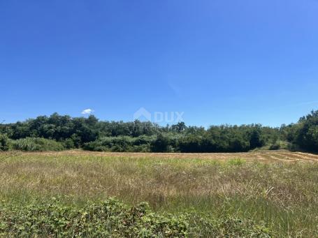 ISTRIA, BADERNA - Agricultural land in the nature of forests