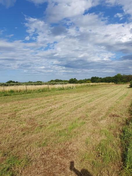 ISTRIA, LIŽNJAN Building plot in Muntić 900 m2