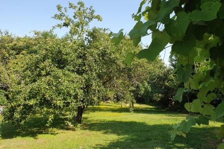 Istra, Žminj, veliki potencijal, građevinsko zemljište mješovite namjene cca 15. 000 m2 - 