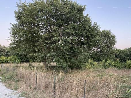 Building land Building plot for sale, 634 m2, in Medulin