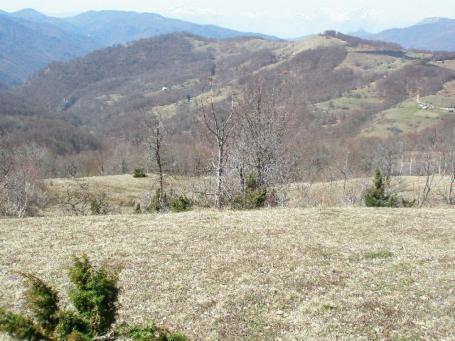 Urbanized land for sale, 130000 m2, Kolašin