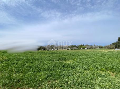 ISTRA, CRVENI VRH - Građevinsko zemljište T2