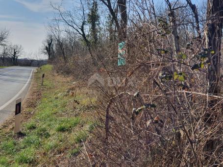 ISTRA, KAROJBA - Građevinska parcela na kraju mirnog naselja