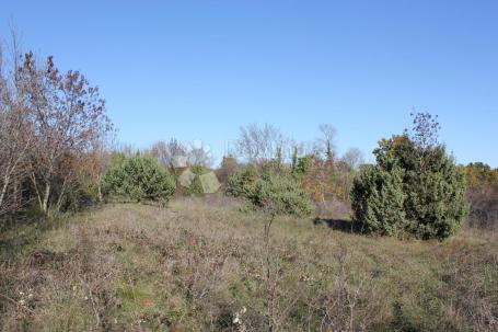 Land Filipana, Marčana, 1.597m2