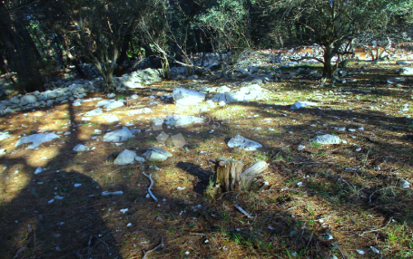 Otok Krk - Prodaja poljoprivrednog zemljišta