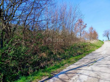 BUZET, ISTRA - Poljoprivredno zemljište