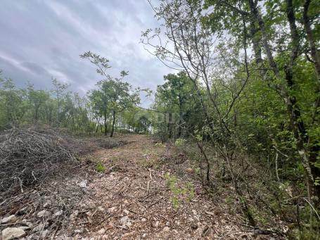 ISTRA, LABIN - Građevinsko zemljište s pogledom na prirodu