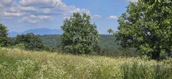 ISTRA, TINJAN - Građevinsko zemljište pogodno za naselje od 6 vila