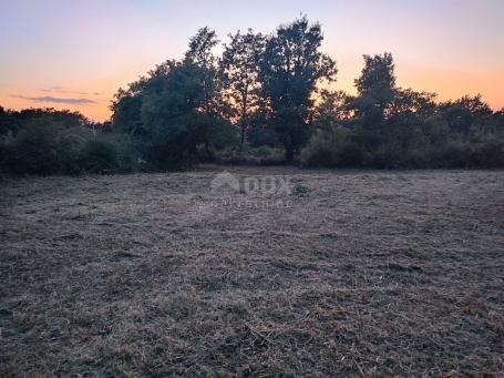 ISTRIA, JURŠIĆ! building land