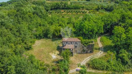 Motovun okolica, kuća za adaptaciju okružena prirodom