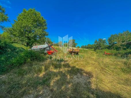 Motovun okolica, zemljište na mirnoj lokaciji 