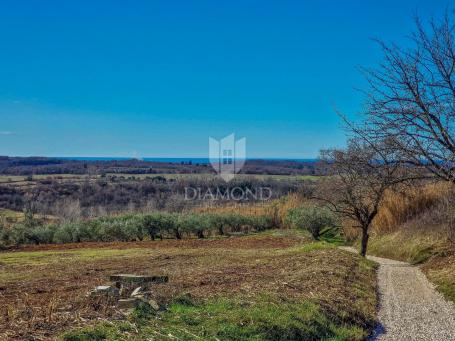 Buje! Prostrano zemljište sa panoramskim pogledom na more!