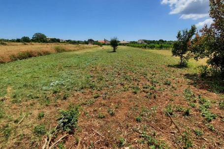 Istra, Muntić - građevinsko zemljište na mirnoj lokaciji uz cestu 904 m2