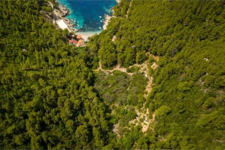 Mljet, Babino Polje Građevinsko zemljište 6. 515 m2 (70m od mora)